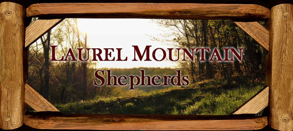 Laurel Mountain Shepherds